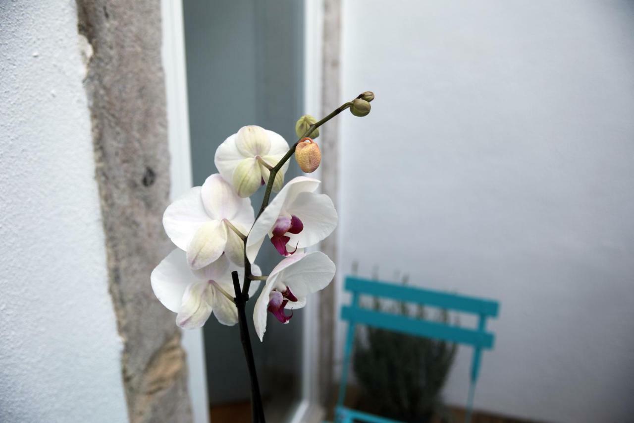 Apartmán Santo Amaro'S House Lisboa Exteriér fotografie